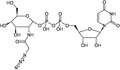 Structural formula of UDP-GalNAz (UDP-N-azidoacetylgalactosamine, UDP-N-azidoacetylgalactosamine, Sodium salt)