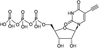 Structural formula of 5-Ethynyl-UTP (5-EUTP) (5-Ethynyl-uridine-5'-triphosphate, Sodium salt)