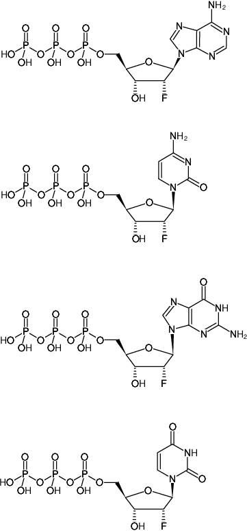 Structural formula of 2'-Fluoro-dNTP Bundle ((2'F-dNTP Bundle), 2'-Fluoro-2'-deoxynucleoside-5'-triphosphates, Sodium salts)