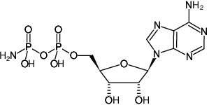 Structural formula of AppNH2 ((AMPPN), Adenosine-5'-(β-amido)diphosphate, Sodium salt)