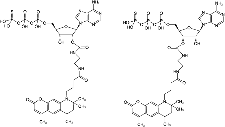 Structural formula of EDA-ATPγS-ATTO-390 (2'/3'-O-(2-Aminoethyl-carbamoyl)-adenosine-5'-(γ-thio)-triphosphate, labeled with ATTO 390, Triethylammonium salt)