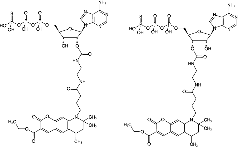 Structural formula of EDA-ATPγS-ATTO-425 (2'/3'-O-(2-Aminoethyl-carbamoyl)-adenosine-5'-(γ-thio)-triphosphate, labeled with ATTO 425, Triethylammonium salt)