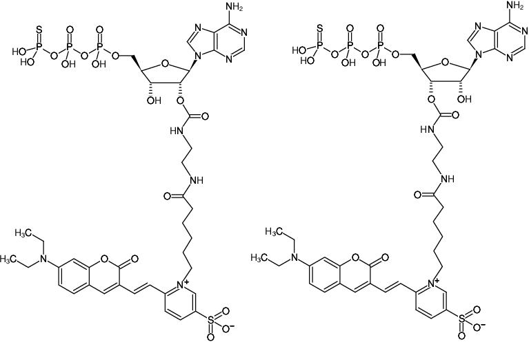 Structural formula of EDA-ATPγS-DY-480XL (2'/3'-O-(2-Aminoethyl-carbamoyl)-adenosine-5'-(γ-thio)-triphosphate, labeled with DY 480XL, Triethylammonium salt)