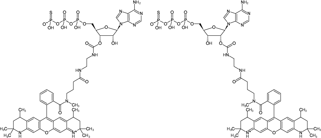 Structural formula of EDA-ATPγS-ATTO-550 (2'/3'-O-(2-Aminoethyl-carbamoyl)-adenosine-5'-(γ-thio)-triphosphate, labeled with ATTO 550, Triethylammonium salt)