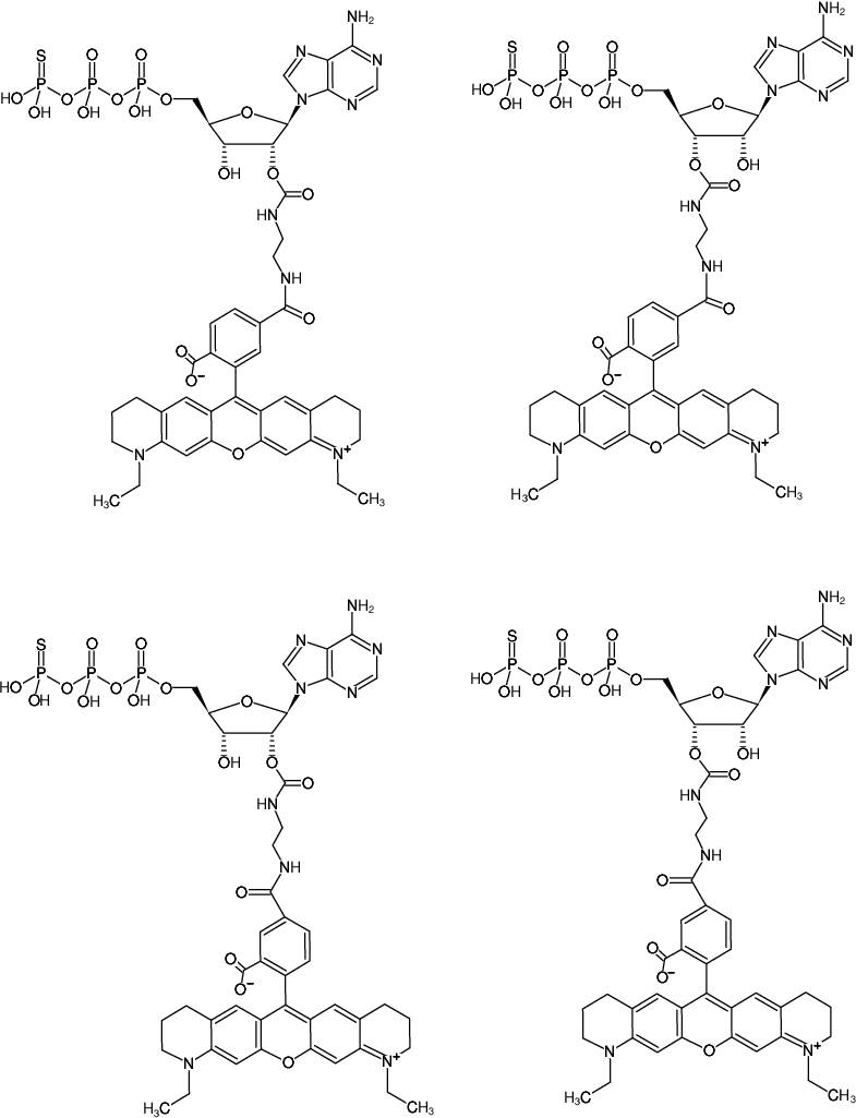 Structural formula of EDA-ATPγS-ATTO-565 (2'/3'-O-(2-Aminoethyl-carbamoyl)-adenosine-5'-(γ-thio)-triphosphate, labeled with ATTO 565, Triethylammonium salt)