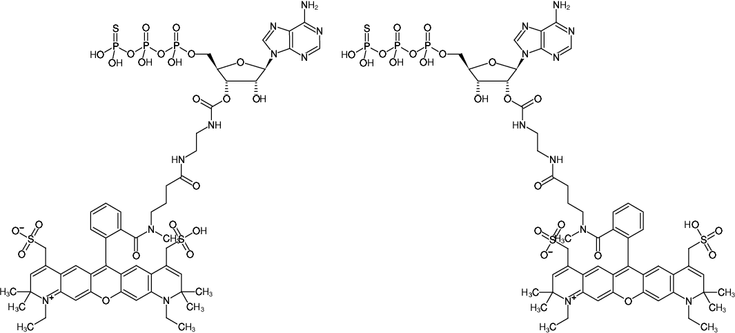 Structural formula of EDA-ATPγS-ATTO-594 (2'/3'-O-(2-Aminoethyl-carbamoyl)-adenosine-5'-(γ-thio)-triphosphate, labeled with ATTO 594, Triethylammonium salt)