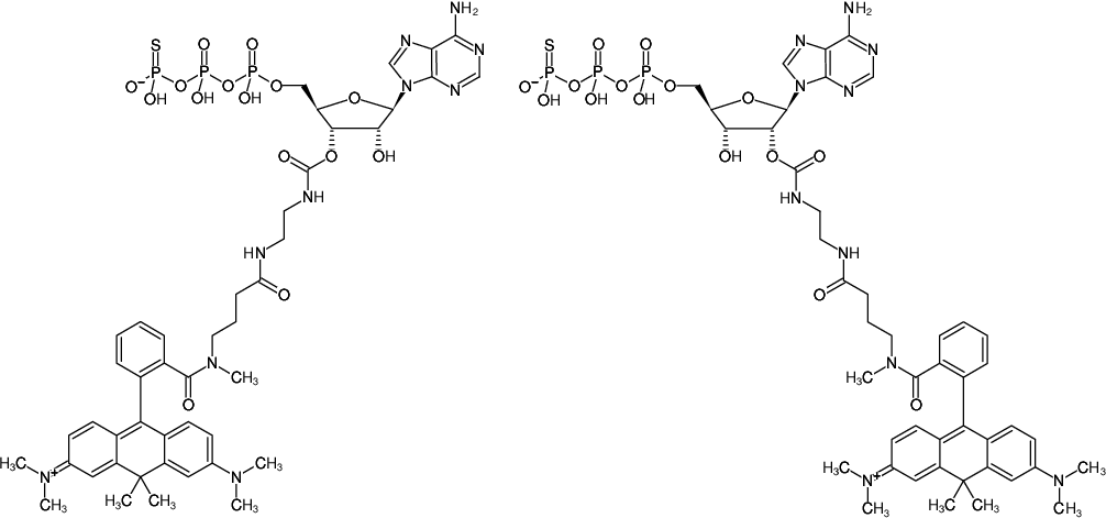 Structural formula of EDA-ATPγS-ATTO-620 (2'/3'-O-(2-Aminoethyl-carbamoyl)-adenosine-5'-(γ-thio)-triphosphate, labeled with ATTO 620, Triethylammonium salt)