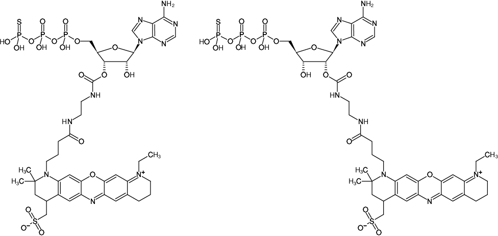 Structural formula of EDA-ATPγS-ATTO-655 (2'/3'-O-(2-Aminoethyl-carbamoyl)-adenosine-5'-(γ-thio)-triphosphate, labeled with ATTO 655, Triethylammonium salt)