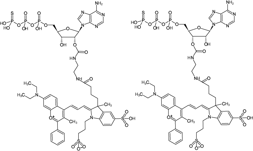 Structural formula of EDA-ATPγS-DYQ-661 (2'/3'-O-(2-Aminoethyl-carbamoyl)-adenosine-5'-(γ-thio)-triphosphate, labeled with DYQ 661, Triethylammonium salt)