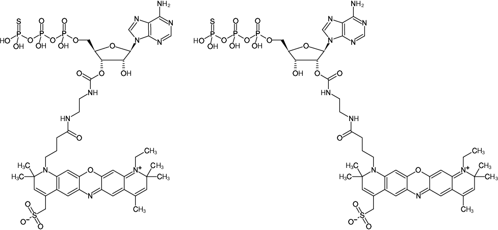 Structural formula of EDA-ATPγS-ATTO-700 (2'/3'-O-(2-Aminoethyl-carbamoyl)-adenosine-5'-(γ-thio)-triphosphate, labeled with ATTO 700, Triethylammonium salt)