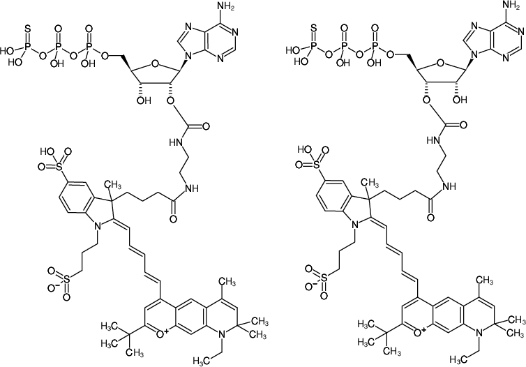 Structural formula of EDA-ATPγS-DY-751 (2'/3'-O-(2-Aminoethyl-carbamoyl)-adenosine-5'-(γ-thio)-triphosphate, labeled with DY 751, Triethylammonium salt)