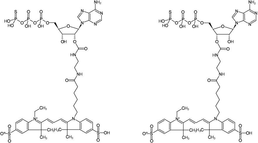 Structural formula of EDA-ATPγS-Cy3 (2'/3'-O-(2-Aminoethyl-carbamoyl)-adenosine-5'-(γ-thio)-triphosphate, labeled with Cy3, Triethylammonium salt)