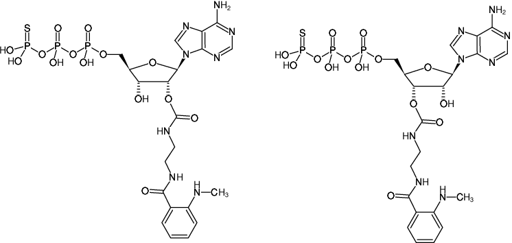 Structural formula of EDA-ATPγS-MANT (2'/3'-O-(2-Aminoethyl-carbamoyl)-adenosine-5'-(γ-thio)-triphosphate, labeled with MANT, Triethylammonium salt)