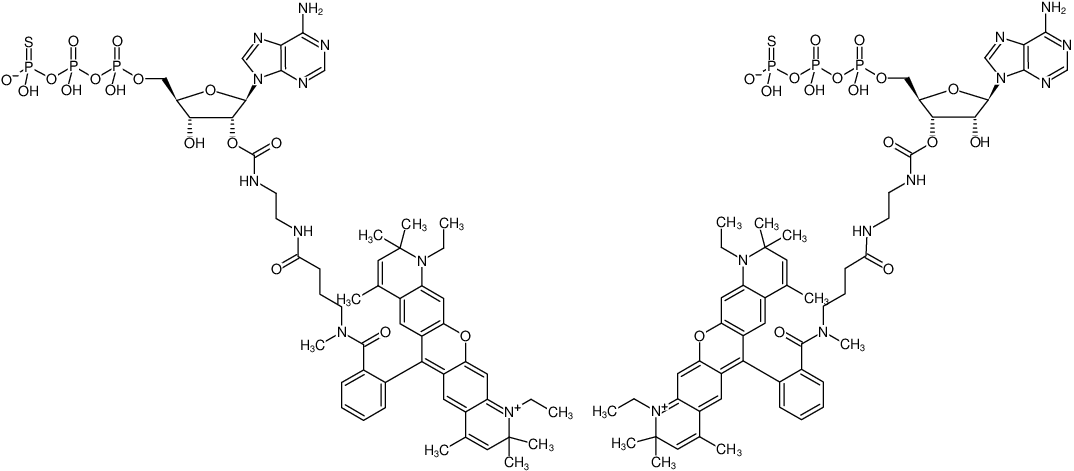 Structural formula of EDA-ATPγS-ATTO-Rho13 (2'/3'-O-(2-Aminoethyl-carbamoyl)-adenosine-5'-(γ-thio)-triphosphate, labeled with ATTO Rho13, Triethylammonium salt)