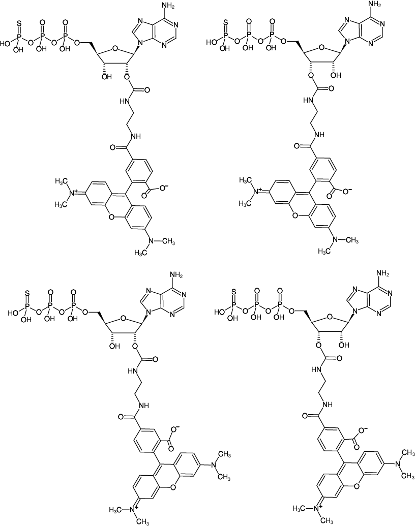 Structural formula of EDA-ATPγS-5/6-TAMRA (2'/3'-O-(2-Aminoethyl-carbamoyl)-adenosine-5'-(γ-thio)-triphosphate, labeled with 5/6-TAMRA, Triethylammonium salt)