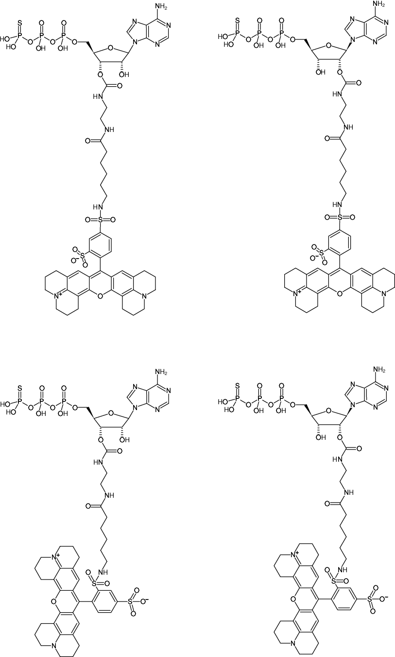 Structural formula of EDA-ATPγS-Texas Red (2'/3'-O-(2-Aminoethyl-carbamoyl)-adenosine-5'-(γ-thio)-triphosphate, labeled with Texas Red, Triethylammonium salt)