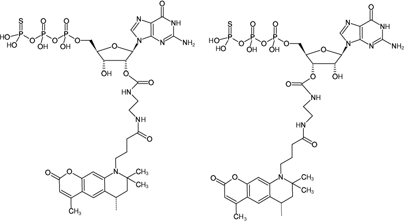 Structural formula of EDA-GTPγS-ATTO-390 (2'/3'-O-(2-Aminoethyl-carbamoyl)-guanosine-5'-(γ-thio)-triphosphate, labeled with ATTO 390, Triethylammonium salt)