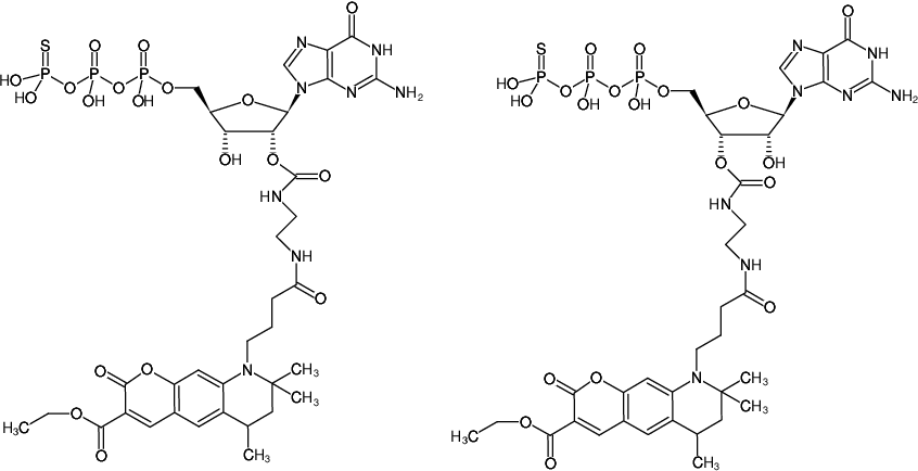 Structural formula of EDA-GTPγS-ATTO-425 (2'/3'-O-(2-Aminoethyl-carbamoyl)-guanosine-5'-(γ-thio)-triphosphate, labeled with ATTO 425, Triethylammonium salt)