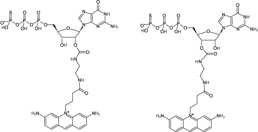 Structural formula of EDA-GTPγS-ATTO-465 (2'/3'-O-(2-Aminoethyl-carbamoyl)-guanosine-5'-(γ-thio)-triphosphate, labeled with ATTO 465, Triethylammonium salt)