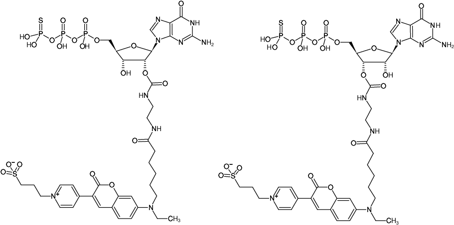 Structural formula of EDA-GTPγS-DY-485XL (2'/3'-O-(2-Aminoethyl-carbamoyl)-guanosine-5'-(γ-thio)-triphosphate, labeled with DY 485XL, Triethylammonium salt)