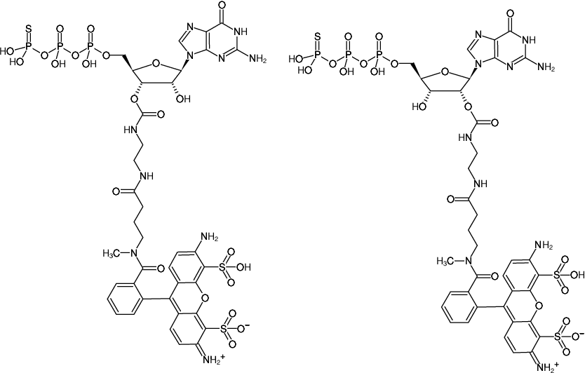 Structural formula of EDA-GTPγS-ATTO-488 (2'/3'-O-(2-Aminoethyl-carbamoyl)-guanosine-5'-(γ-thio)-triphosphate, labeled with ATTO 488, Triethylammonium salt)