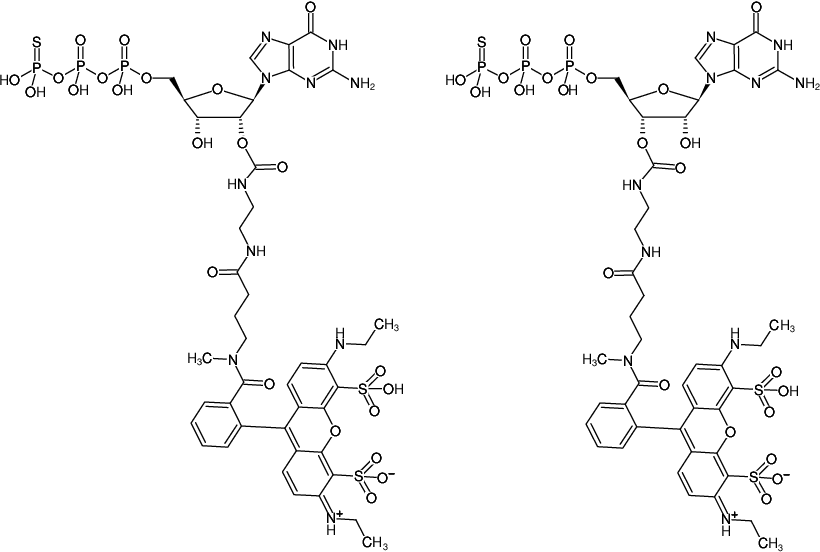 Structural formula of EDA-GTPγS-ATTO-532 (2'/3'-O-(2-Aminoethyl-carbamoyl)-guanosine-5'-(γ-thio)-triphosphate, labeled with ATTO 532, Triethylammonium salt)