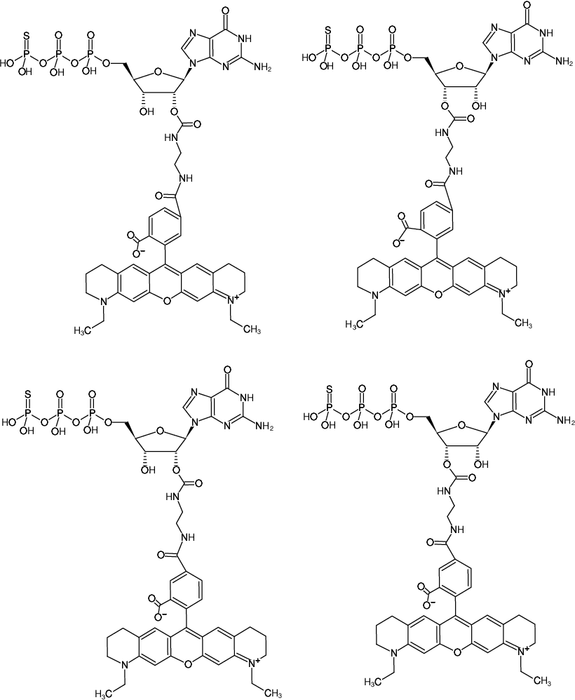 Structural formula of EDA-GTPγS-ATTO-565 (2'/3'-O-(2-Aminoethyl-carbamoyl)-guanosine-5'-(γ-thio)-triphosphate, labeled with ATTO 565, Triethylammonium salt)