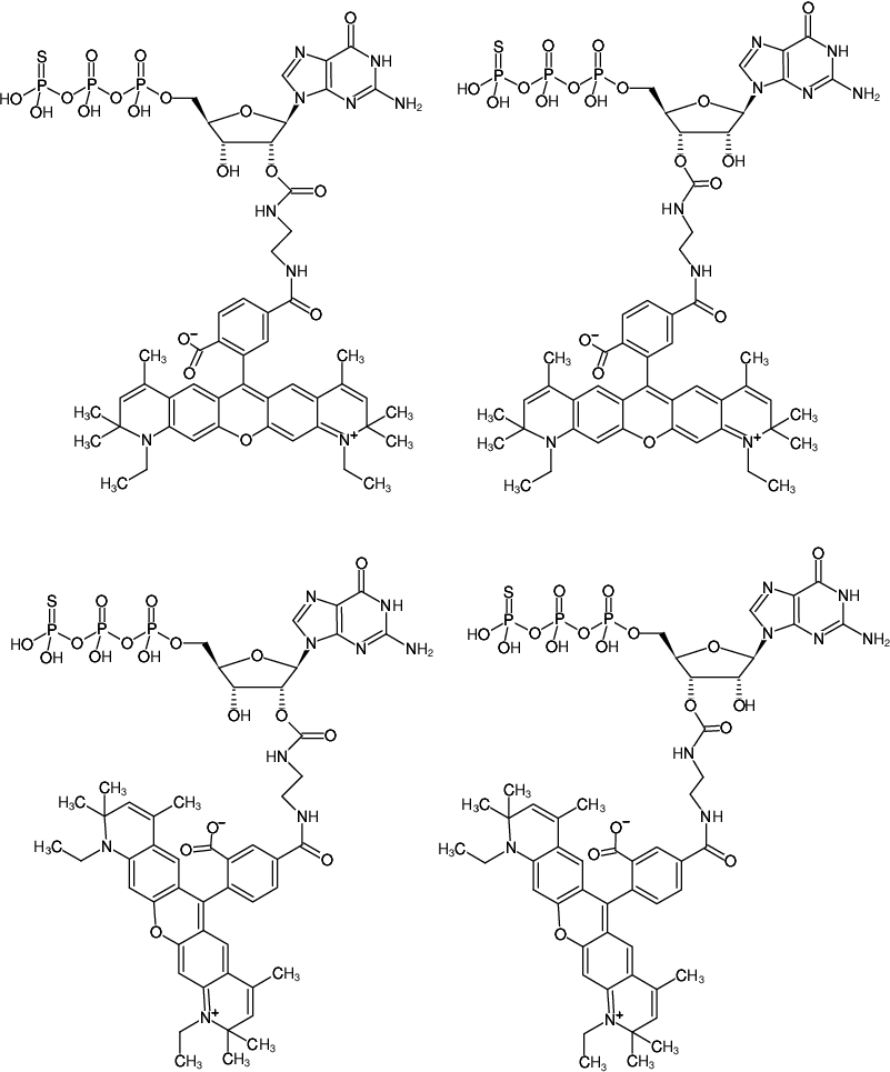 Structural formula of EDA-GTPγS-ATTO-590 (2'/3'-O-(2-Aminoethyl-carbamoyl)-guanosine-5'-(γ-thio)-triphosphate, labeled with ATTO 590, Triethylammonium salt)