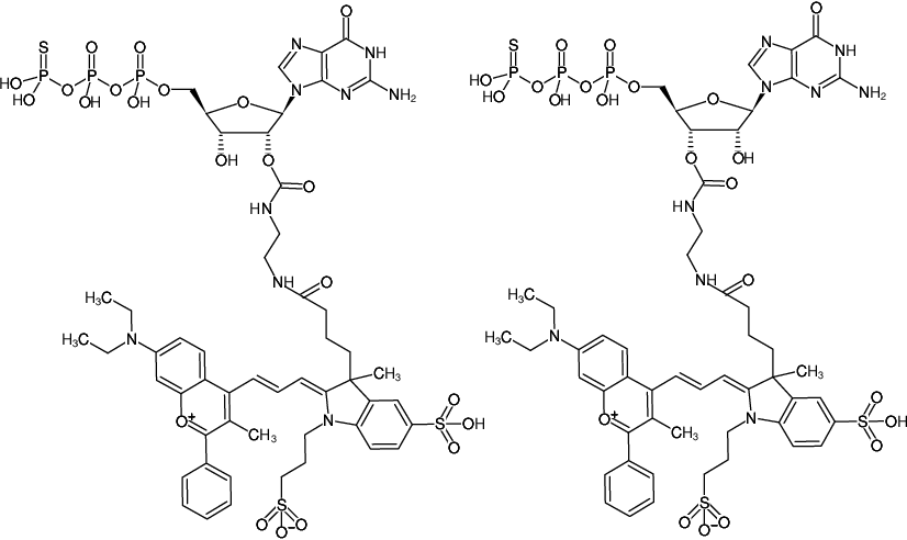 Structural formula of EDA-GTPγS-DYQ-661 (2'/3'-O-(2-Aminoethyl-carbamoyl)-guanosine-5'-(γ-thio)-triphosphate, labeled with DYQ 661, Triethylammonium salt)