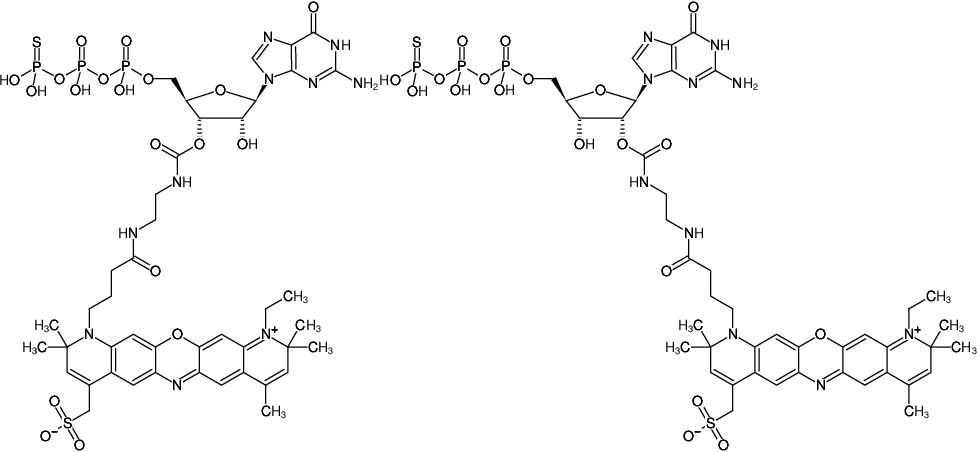 Structural formula of EDA-GTPγS-ATTO-700 (2'/3'-O-(2-Aminoethyl-carbamoyl)-guanosine-5'-(γ-thio)-triphosphate, labeled with ATTO 700, Triethylammonium salt)