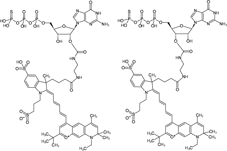 Structural formula of EDA-GTPγS-DY-751 (2'/3'-O-(2-Aminoethyl-carbamoyl)-guanosine-5'-(γ-thio)-triphosphate, labeled with DY 751, Triethylammonium salt)