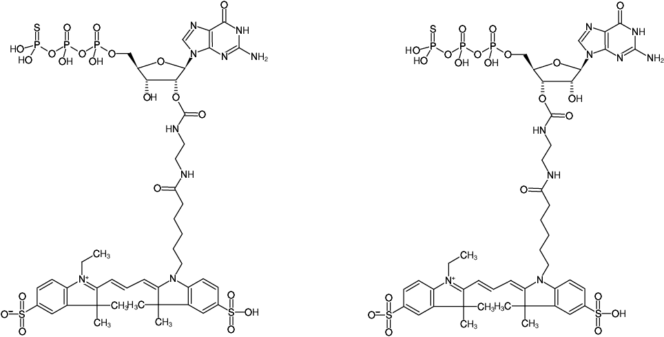 Structural formula of EDA-GTPγS-Cy3 (2'/3'-O-(2-Aminoethyl-carbamoyl)-guanosine-5'-(γ-thio)-triphosphate, labeled with Cy3, Triethylammonium salt)