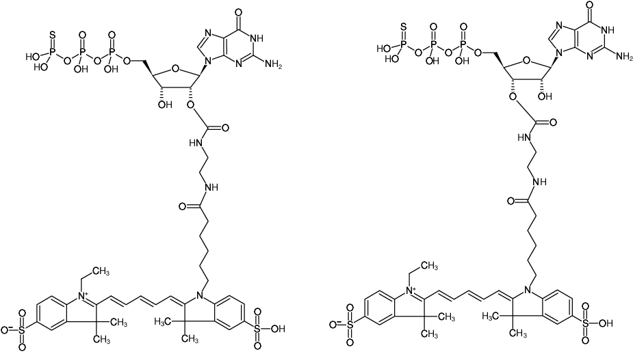 Structural formula of EDA-GTPγS-Cy5 (2'/3'-O-(2-Aminoethyl-carbamoyl)-guanosine-5'-(γ-thio)-triphosphate, labeled with Cy5, Triethylammonium salt)