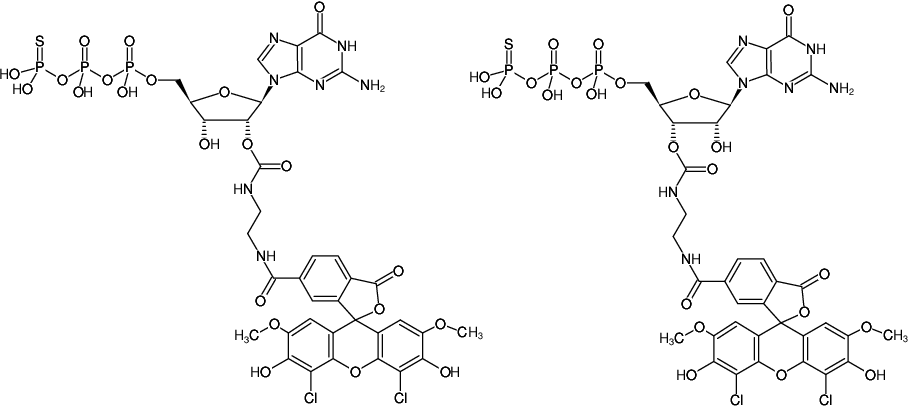 Structural formula of EDA-GTPγS-6-JOE (2'/3'-O-(2-Aminoethyl-carbamoyl)-guanosine-5'-(γ-thio)-triphosphate, labeled with 6-JOE, Triethylammonium salt)