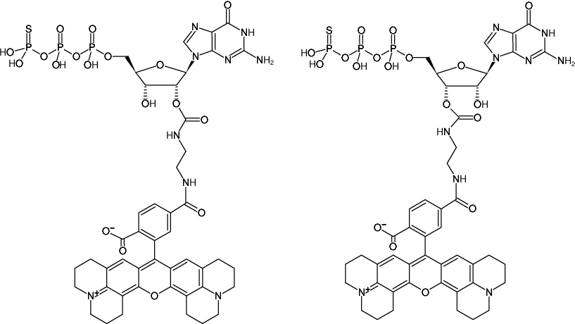 Structural formula of EDA-GTPγS-6-ROX (2'/3'-O-(2-Aminoethyl-carbamoyl)-guanosine-5'-(γ-thio)-triphosphate, labeled with 6-ROX, Triethylammonium salt)