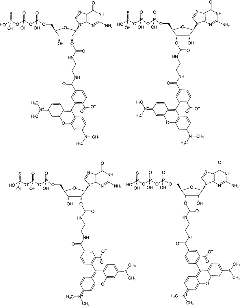 Structural formula of EDA-GTPγS-5/6-TAMRA (2'/3'-O-(2-Aminoethyl-carbamoyl)-guanosine-5'-(γ-thio)-triphosphate, labeled with 5/6-TAMRA, Triethylammonium salt)