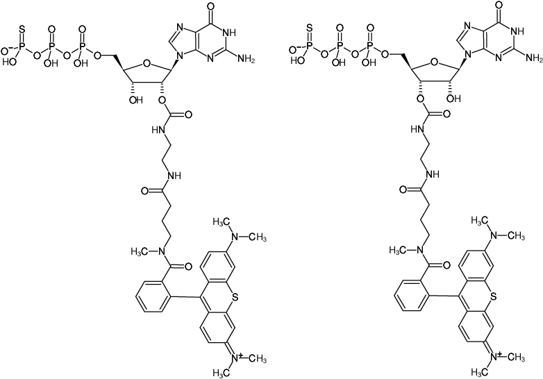 Structural formula of EDA-GTPγS-ATTO-Thio12 (2'/3'-O-(2-Aminoethyl-carbamoyl)-guanosine-5'-(γ-thio)-triphosphate, labeled with ATTO Thio12, Triethylammonium salt)