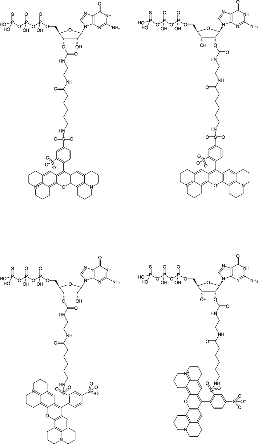 Structural formula of EDA-GTPγS-Texas Red (2'/3'-O-(2-Aminoethyl-carbamoyl)-guanosine-5'-(γ-thio)-triphosphate, labeled with Texas Red, Triethylammonium salt)