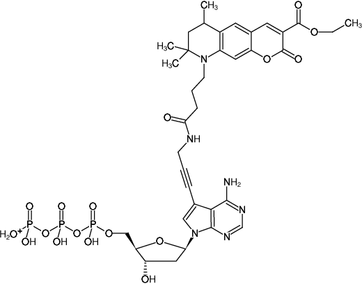 Structural formula of 7-Propargylamino-7-deaza-dATP-ATTO-425 (7-Deaza-7-propargylamino-2'-deoxyadenosine-5'-triphosphate, labeled with ATTO 425, Triethylammonium salt)