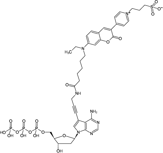 Structural formula of 7-Propargylamino-7-deaza-dATP-DY-485XL (7-Deaza-7-propargylamino-2'-deoxyadenosine-5'-triphosphate, labeled with DY 485XL, Triethylammonium salt)