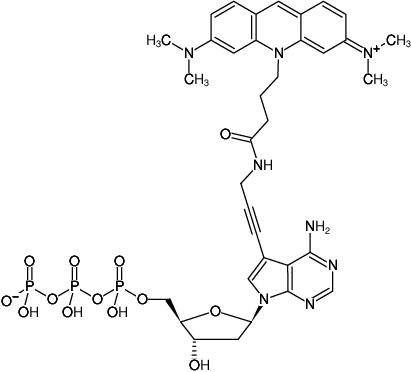 Structural formula of 7-Propargylamino-7-deaza-dATP-ATTO-495 (7-Deaza-7-propargylamino-2'-deoxyadenosine-5'-triphosphate, labeled with ATTO 495, Triethylammonium salt)