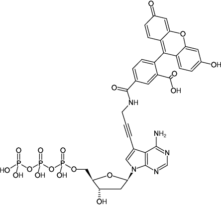 Structural formula of 7-Propargylamino-7-deaza-dATP-5-FAM (7-Deaza-7-propargylamino-2'-deoxyadenosine-5'-triphosphate, labeled with 5 FAM, Triethylammonium salt)