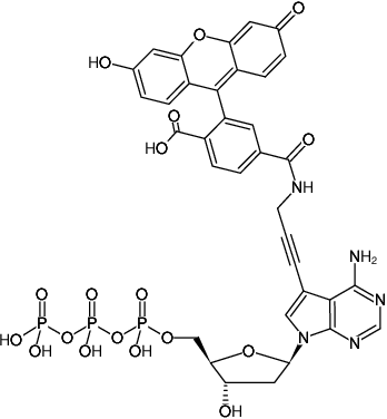 Structural formula of 7-Propargylamino-7-deaza-dATP-6-FAM (7-Deaza-7-propargylamino-2'-deoxyadenosine-5'-triphosphate, labeled with 6 FAM, Triethylammonium salt)