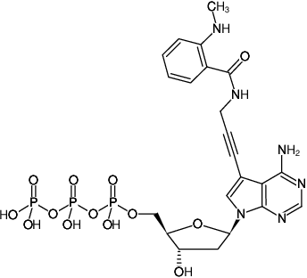 Structural formula of 7-Propargylamino-7-deaza-dATP-MANT (7-Deaza-7-propargylamino-2'-deoxyadenosine-5'-triphosphate, labeled with MANT, Triethylammonium salt)