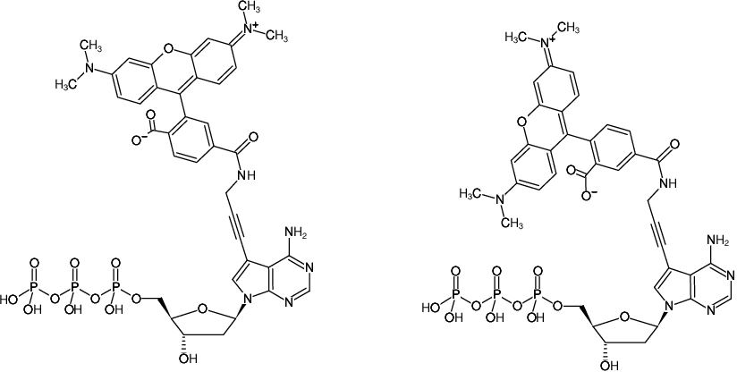 Structural formula of 7-Propargylamino-7-deaza-dATP-5/6-TAMRA (7-Deaza-7-propargylamino-2'-deoxyadenosine-5'-triphosphate, labeled with 5/6-TAMRA, Triethylammonium salt)