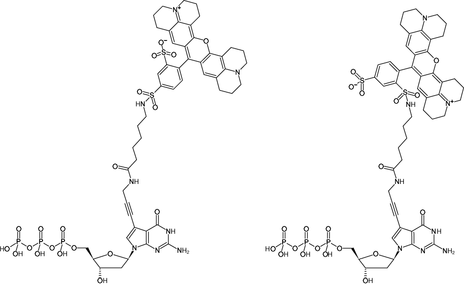 Structural formula of 7-Propargylamino-7-deaza-dGTP-Texas Red (7-Deaza-7-propargylamino-2'-deoxyguanosine-5'-triphosphate, labeled with Texas Red, Triethylammonium salt)