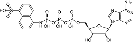 Structural formula of ATP-γ-AmNS (Adenosine-5'-triphosphate-γ-(sulfo-1-naphthyl)amide, Triethylammonium salt)