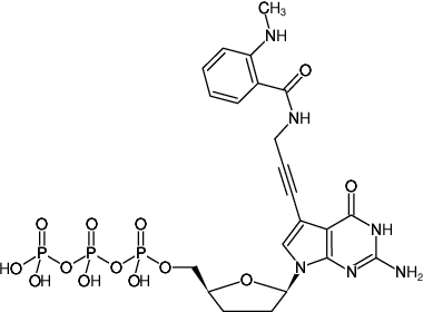 Structural formula of 7-Propargylamino-7-deaza-ddGTP-MANT (7-Deaza-7-propargylamino-2',3'-dideoxyguanosine-5'-triphosphate, labeled with MANT, Triethylammonium salt)