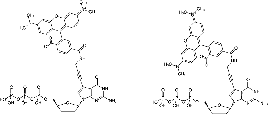 Structural formula of 7-Propargylamino-7-deaza-ddGTP-5/6-TAMRA (7-Deaza-7-propargylamino-2',3'-dideoxyguanosine-5'-triphosphate, labeled with 5/6-TAMRA, Triethylammonium salt)