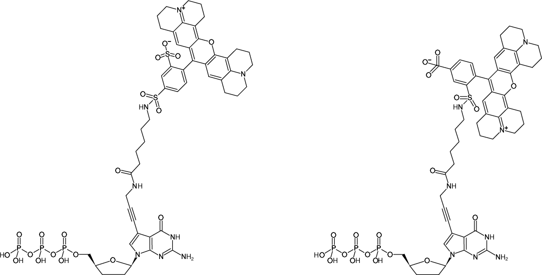 Structural formula of 7-Propargylamino-7-deaza-ddGTP-Texas Red (7-Deaza-7-propargylamino-2',3'-dideoxyguanosine-5'-triphosphate, labeled with Texas Red, Triethylammonium salt)